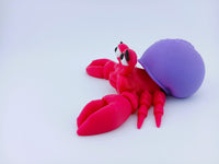 Hermit Crabs