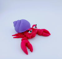 Hermit Crabs