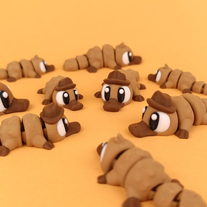 Big Eyed Platypus