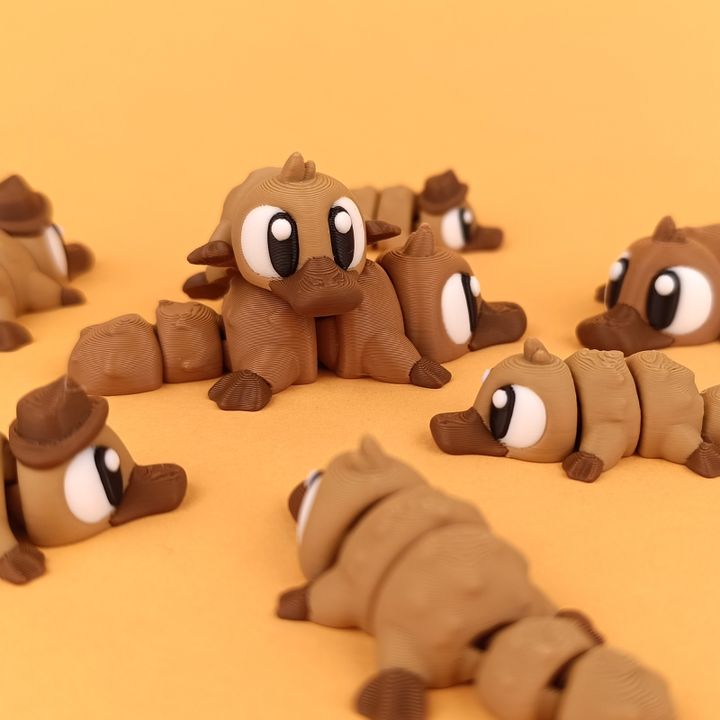 Big Eyed Platypus