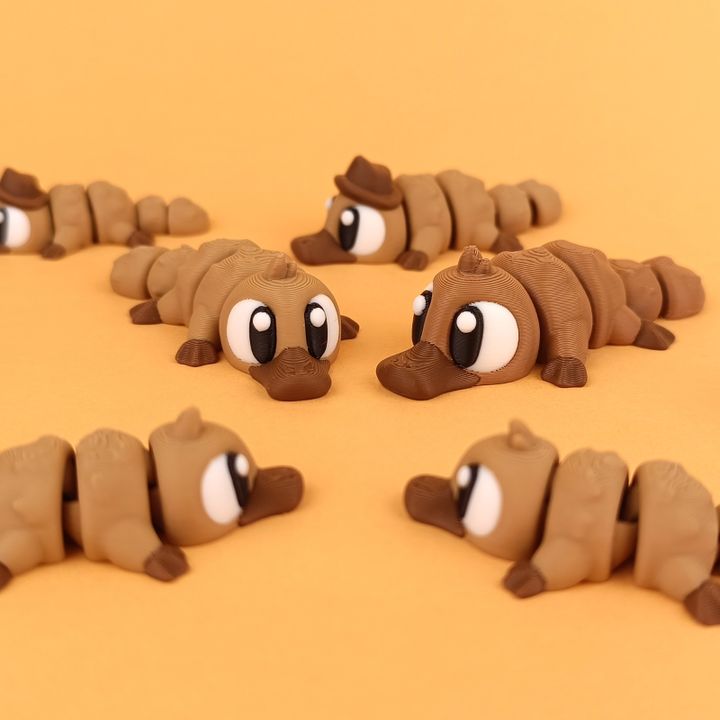 Big Eyed Platypus