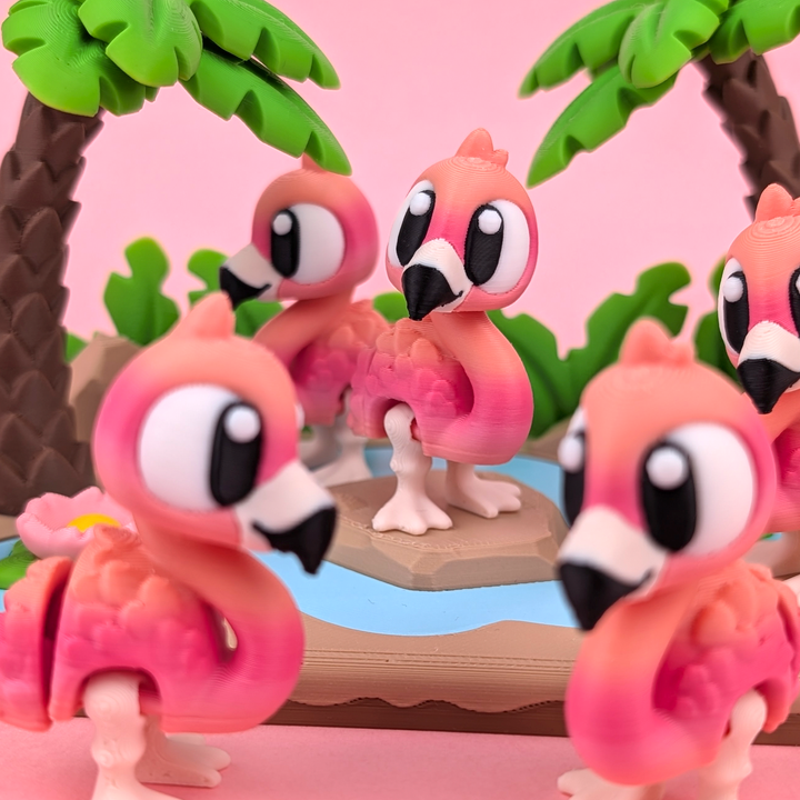 Big Eyed Flamingo