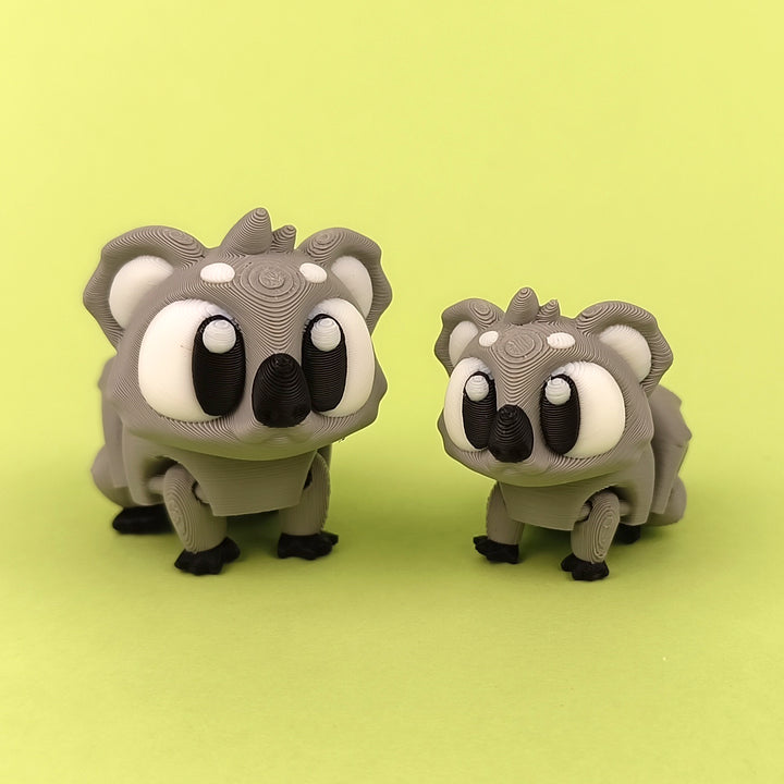 Big Eyed Koala