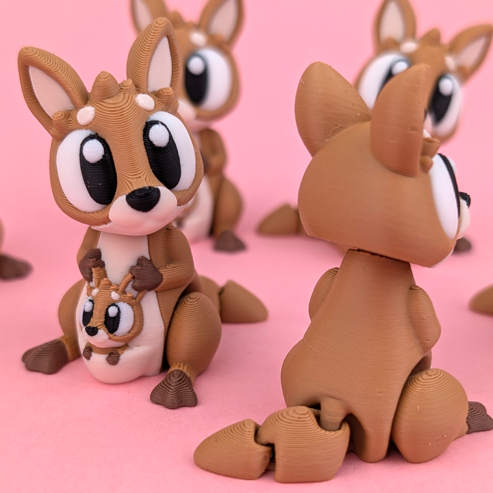 Big Eyed Kangaroo