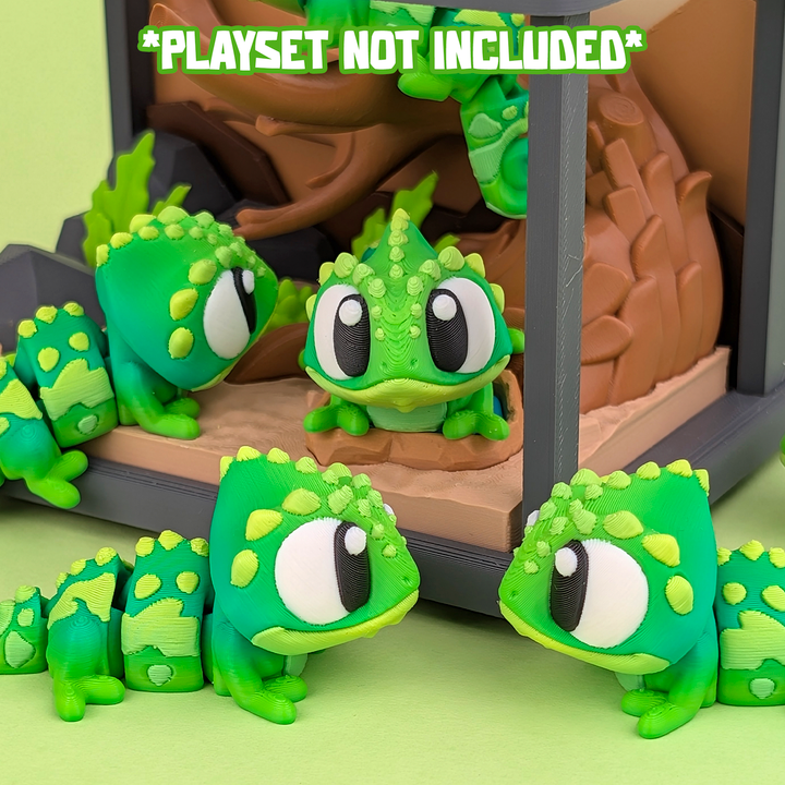 Big Eyed Chameleon