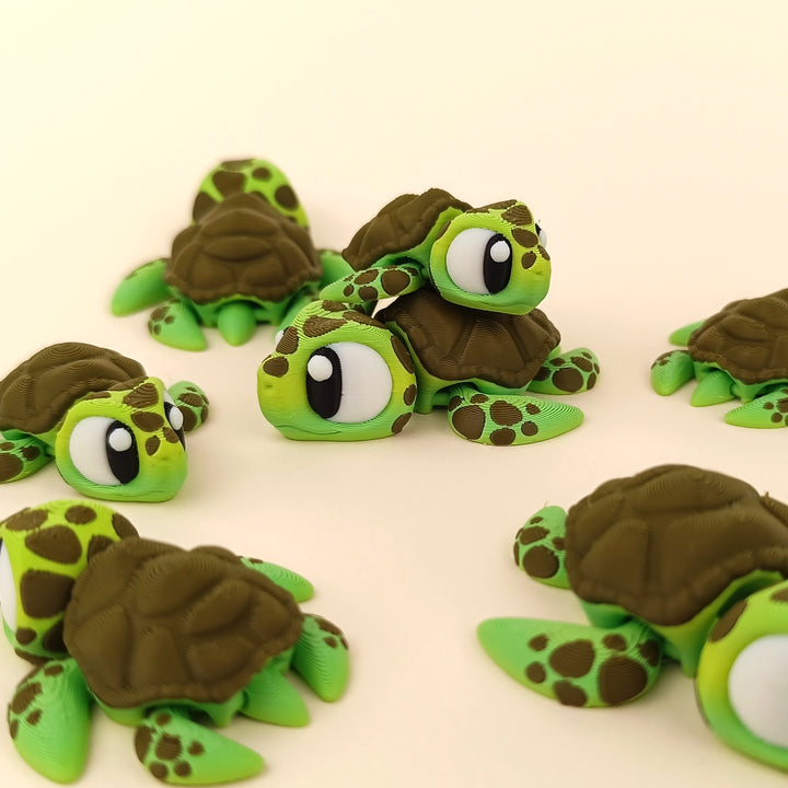 Big Eyed Sea Turtle