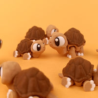 Big Eyed Tortoise