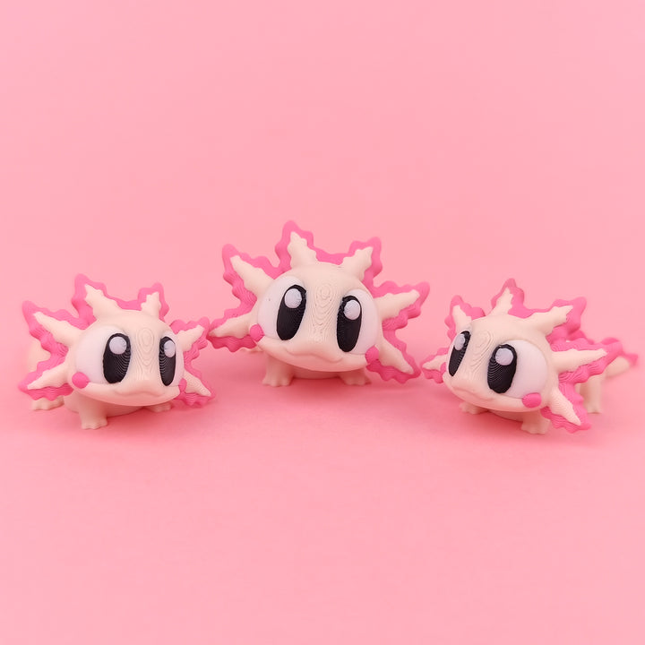 Big Eyed Axolotl