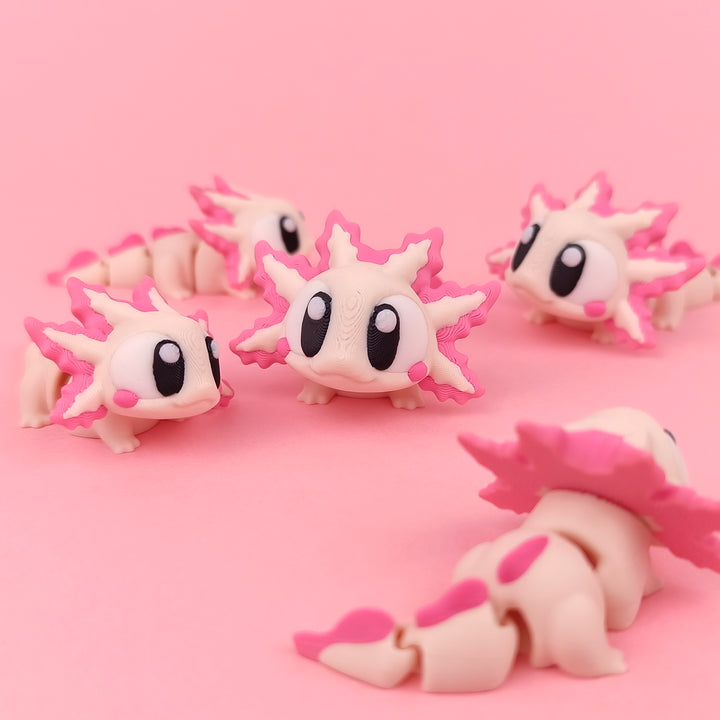 Big Eyed Axolotl