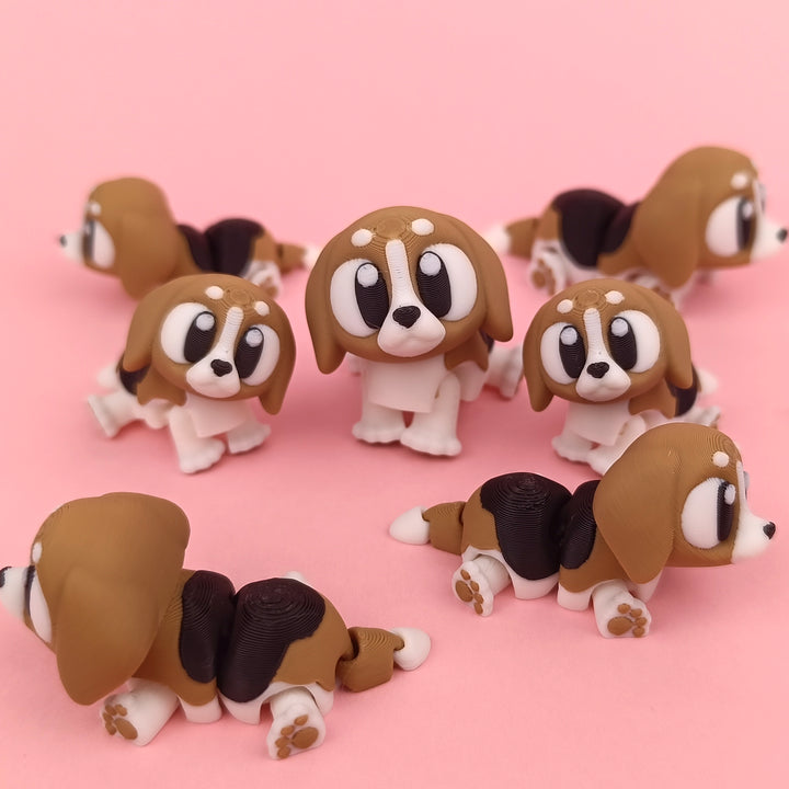 Big Eyed Beagle