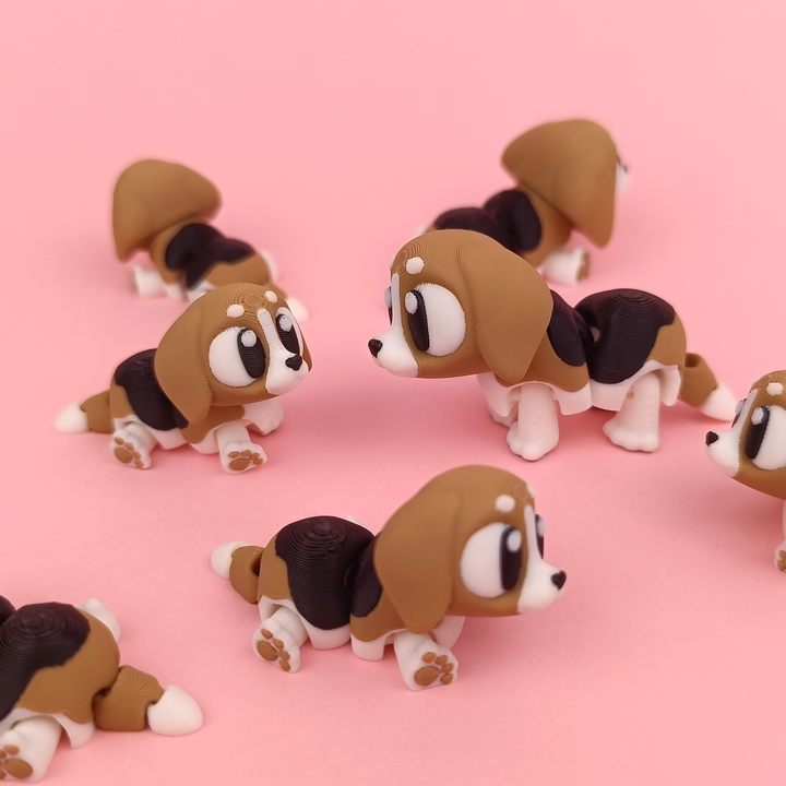 Big Eyed Beagle