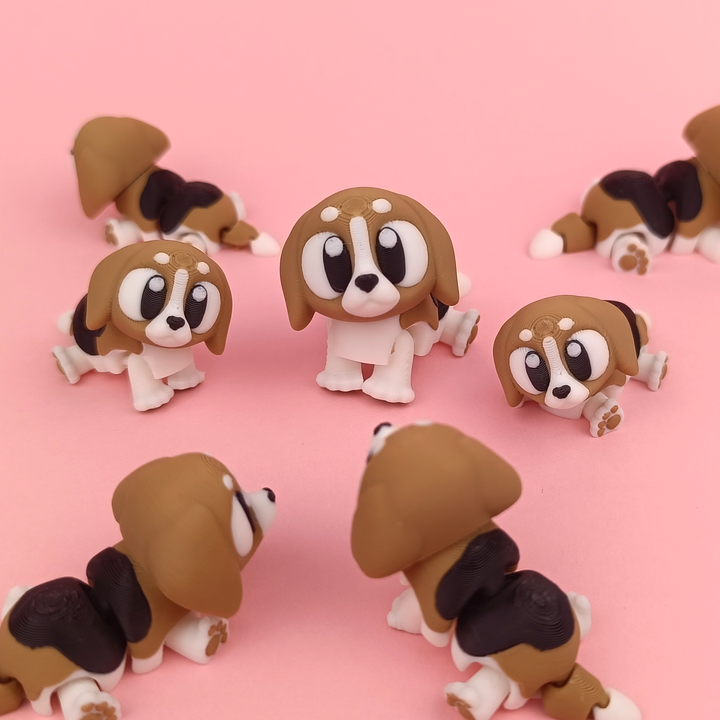 Big Eyed Beagle