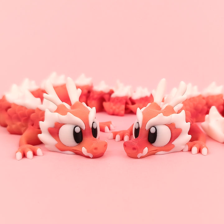Big Eyed Long Dragon