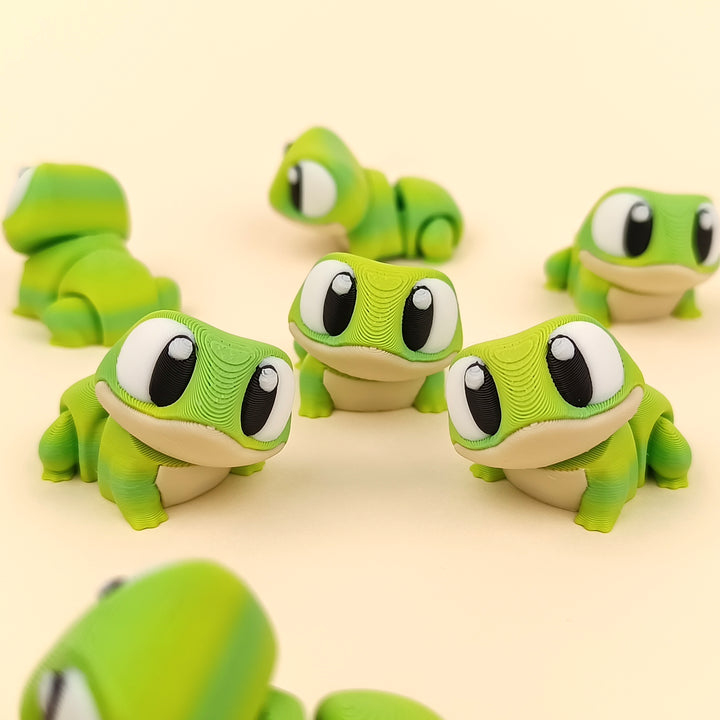Big Eyed Frog