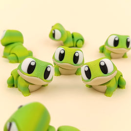 Big Eyed Frog
