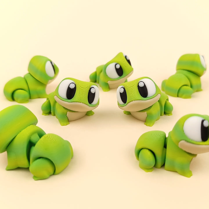 Big Eyed Frog