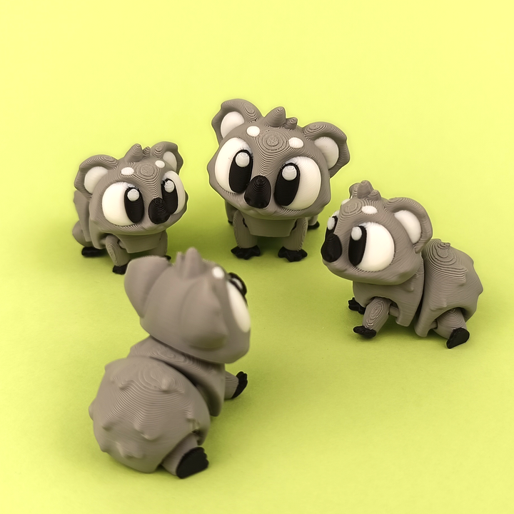 Big Eyed Koala