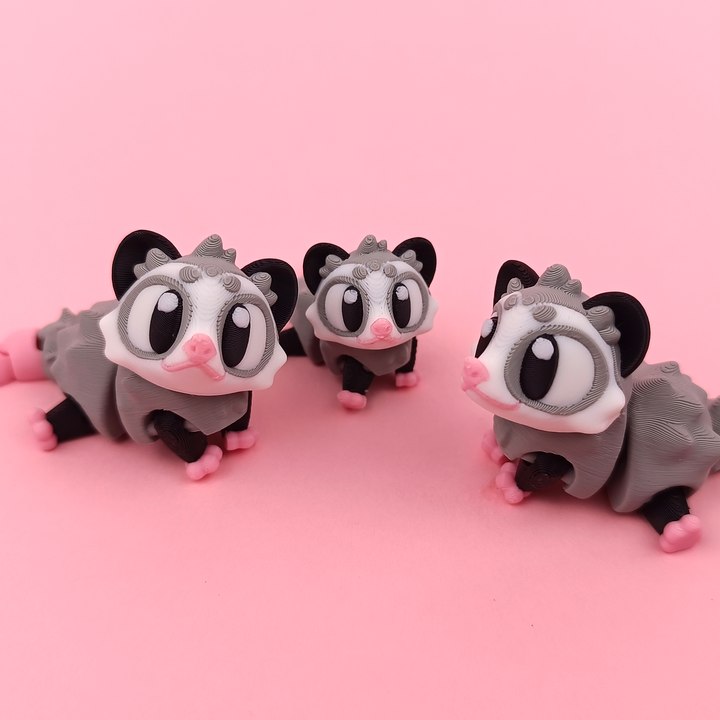 Big Eyed Opossum