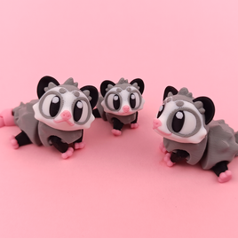 Big Eyed Opossum