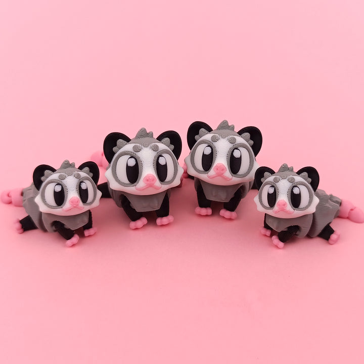 Big Eyed Opossum