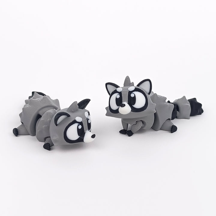 Big Eyed Raccoon