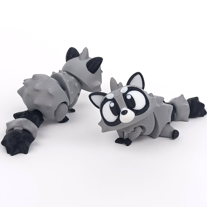 Big Eyed Raccoon