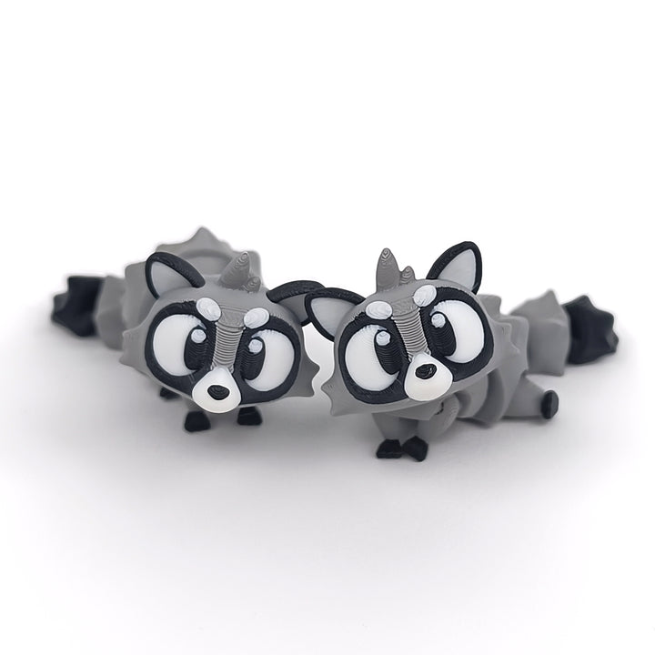 Big Eyed Raccoon