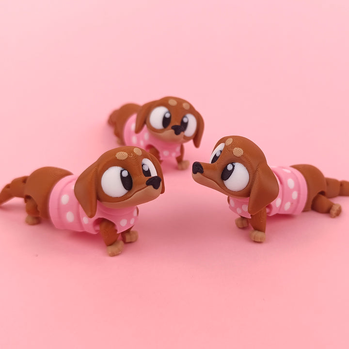 Big Eyed Daschund