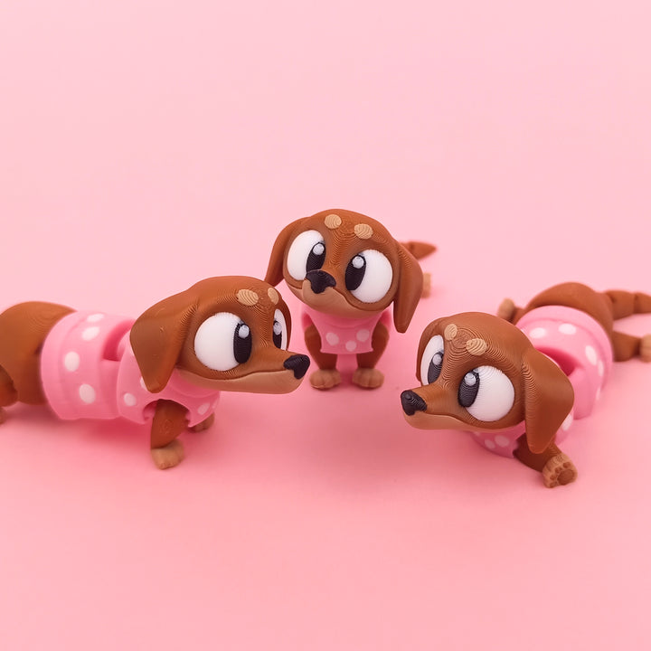 Big Eyed Daschund