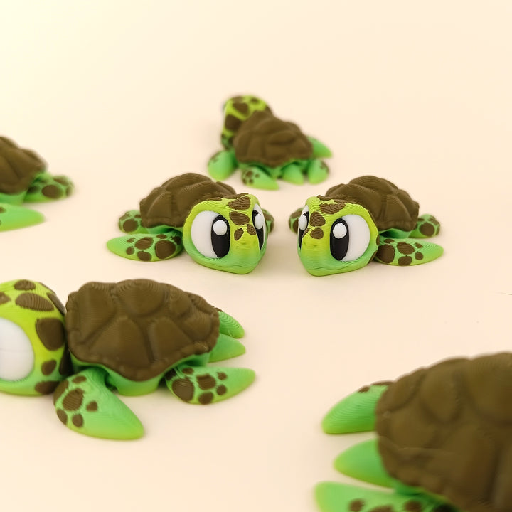 Big Eyed Sea Turtle