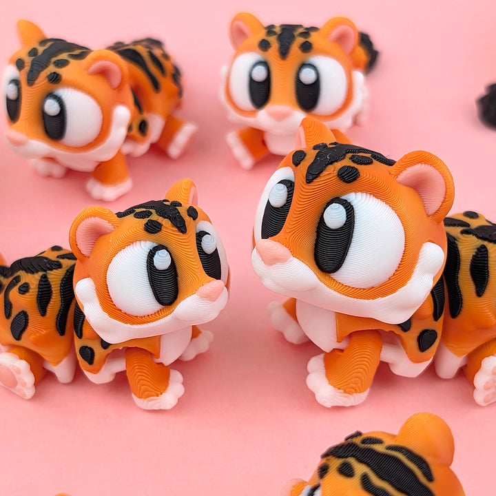 Big Eyed Tiger