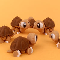 Big Eyed Tortoise