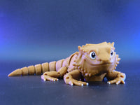 Bearded Lizard