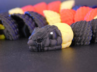 Coral Snake