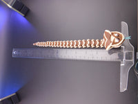 King Cobra
