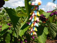 Fluffy Tail Unicorn Key Chain