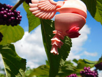 Fluffy Tail Flamingo Key Chain