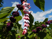 Fluffy Tail Cat Key Chain