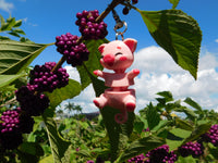 Fluffy Tail Pig Key Chain