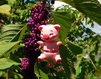 Fluffy Tail Pig Key Chain